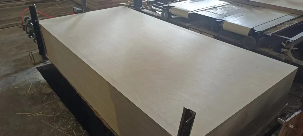 18mm Phenolic Resin Coated 100% White Birch Plywood Board