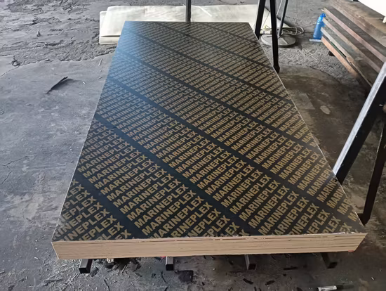 18mm 페놀 수지 라미네이트 필름 직면 보드