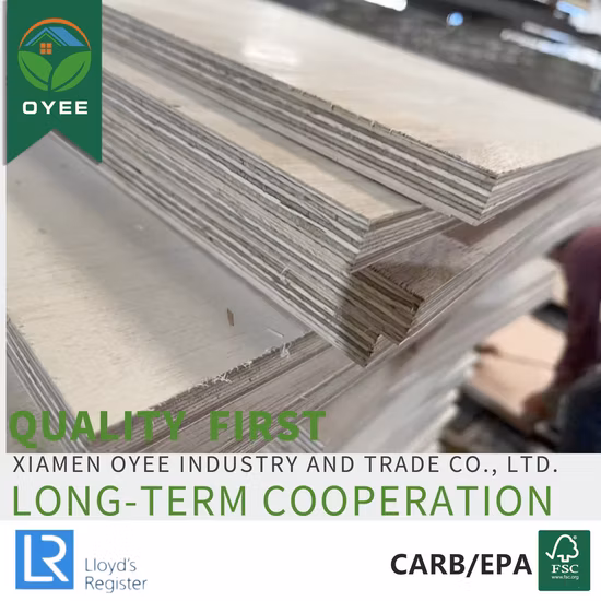 Oyee 12mm 18mm 페놀 수지 코팅 100% 자작나무 합판 보드